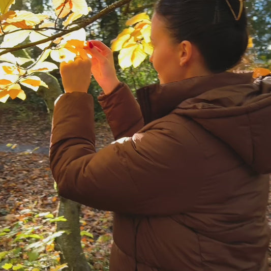 The Signature Story Package